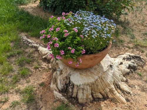 a pot of flowers sitting on top of a tree stump at Buen Estar, piscina, barbacoa, jacuzzi en Valencia in Turís
