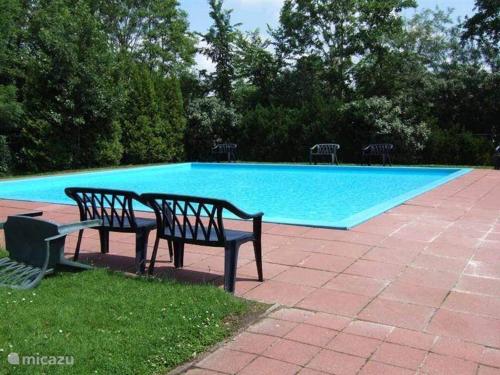 dois bancos sentados em frente a uma piscina em Safari Lodge Grou, luxe kamperen op een eiland! em Grou
