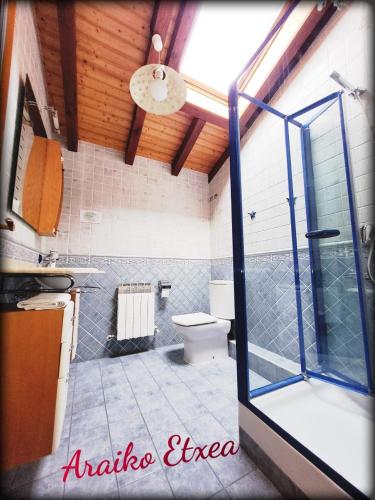 a bathroom with a toilet and a glass shower at Araiko Etxea Casa Rural in Tuyo