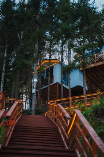 a wooden staircase leading to a building with trees at Montana Suite Bungalows in Trabzon