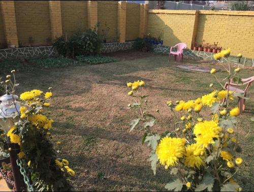 Un mazzo di fiori gialli in un cortile di KaShMiR ViBeS HoMeStAy Family Room a Srinagar