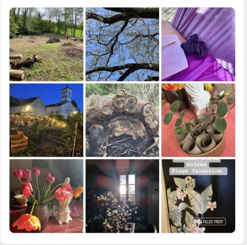 a collage of pictures of flowers and plants at Chambres d Hôtes Les Filles Tresy in Passenans