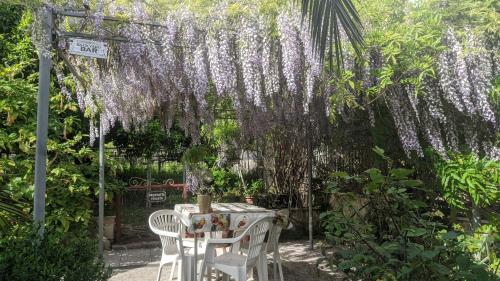 Κήπος έξω από το Villa Giulia al Vesuvio