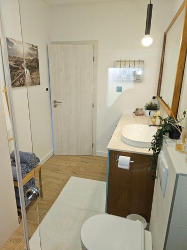 加蓬津Apartman Pojine的带水槽和马桶的浴室