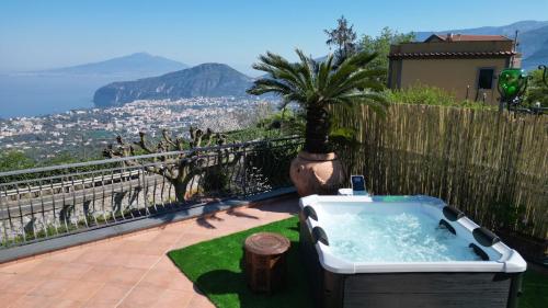 a bath tub sitting on a lawn with a palm tree at Villa Due Golfi in Colli di Fontanelle