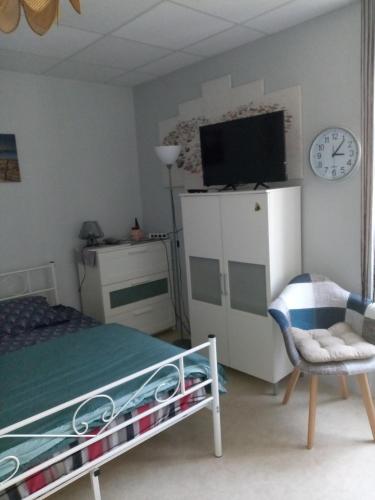 une chambre avec un lit et une télévision sur un mur dans l'établissement Studio des Thermes 2*, à Vittel