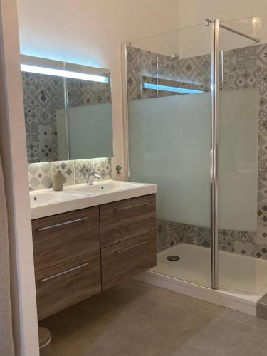 サン・モールにあるLa petite fermetteの洗面台とシャワー付きのバスルーム