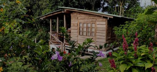 a small wooden house in a garden with flowers at MUNAY, Posada rural para el sosiego in Alcalá