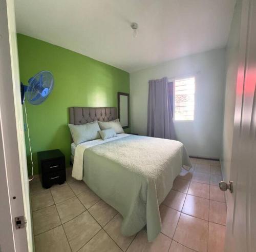 ein Schlafzimmer mit einem Bett und einer grünen Wand in der Unterkunft casa nagüera in Nagua