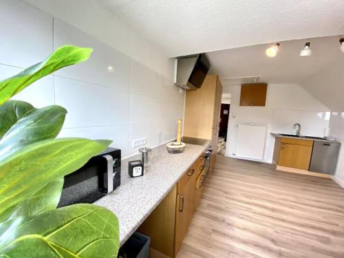 a kitchen with a counter and a large plant at Worker Place Isselburg in Isselburg