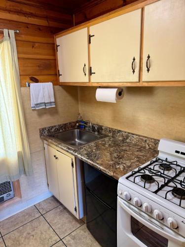 a kitchen with a stove and a sink at Andruss Motel in Walker