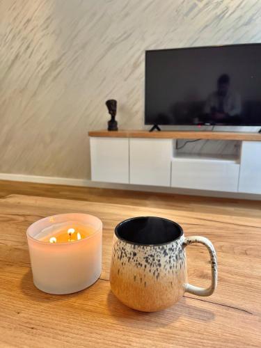 TV a/nebo společenská místnost v ubytování Tina Apartman Sokobanja