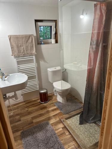 W łazience znajduje się toaleta, umywalka i prysznic. w obiekcie Chata Očovan w Zwoleniu
