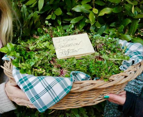 a woman holding a basket filled with green plants at La Casella Antico Feudo di Campagna in Ficulle