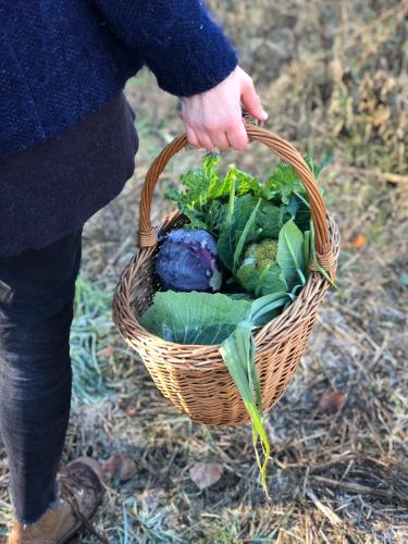 a person holding a basket full of vegetables at La Casella Antico Feudo di Campagna in Ficulle