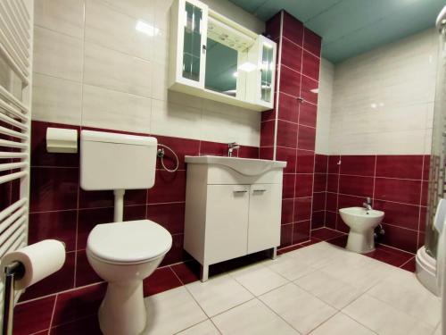 a bathroom with a toilet and a sink at Skajla Apartments in Medulin