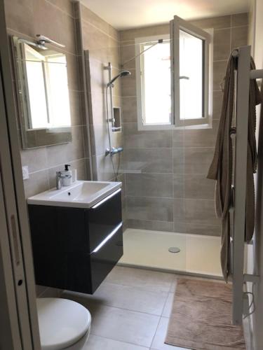 y baño con aseo, lavabo y ducha. en Appartement catalan coeur village, en Argelès-sur-Mer