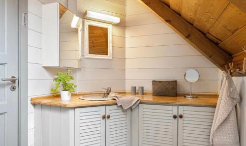 a bathroom with a sink in a tiny house at Salteriet in Vinnes