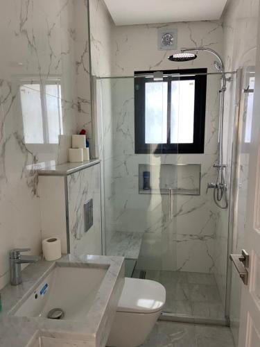 La salle de bains est pourvue d'un lavabo, de toilettes et d'une douche. dans l'établissement Marsa - Sidi Bousaid Lovely Authentic Apartment, à La Marsa