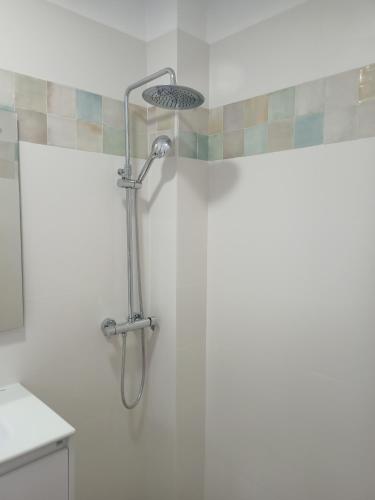 y baño con ducha con cabezal de ducha. en La Casa de Ángela, en Sevilla