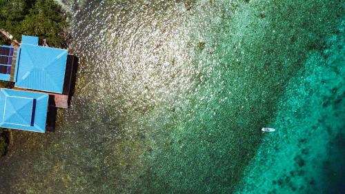 uma vista aérea do oceano com um barco na água em Bahia Coral Lodge em Bocas Town