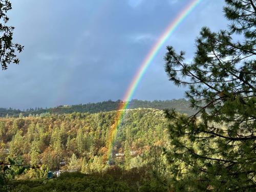 a rainbow in the sky over a forest at Yosemite Bug Rustic Mountain Resort in Midpines