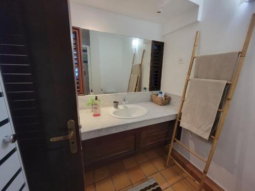 La salle de bains est pourvue d'un lavabo et d'un grand miroir. dans l'établissement Studio vue mer - Tartane, à La Trinité