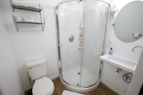 a bathroom with a shower and a toilet and a sink at Yosemite Bug Rustic Mountain Resort in Midpines