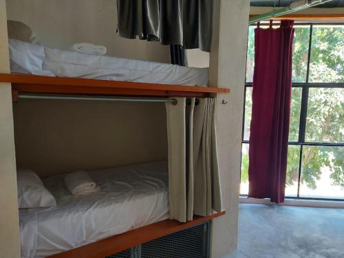a bunk bed in a room next to a window at Elmar hostal in Bacalar