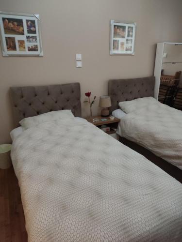 Cosy flat in the heart of Athens