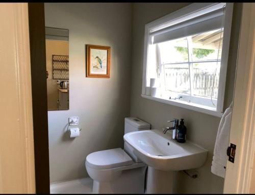 a bathroom with a toilet and a sink and a window at Green Door Cottage in Greytown