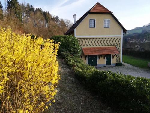 Wald的住宿－3144 Ferien am SCHLOSS WALD Ap DAVINCI，前面有黄色花的房子