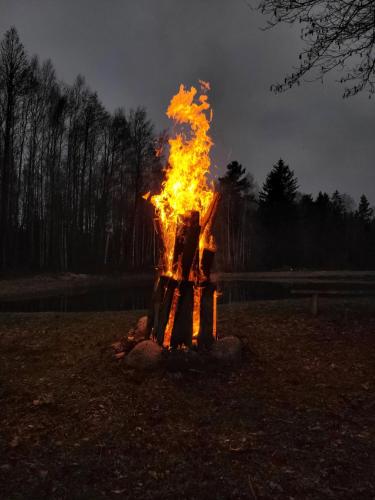 a fire pit in a field at night at Agroturystyka u Doroty in Rajgród