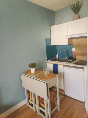 una pequeña cocina con encimera y fregadero en Joli studio point zéro, en La Grande-Motte