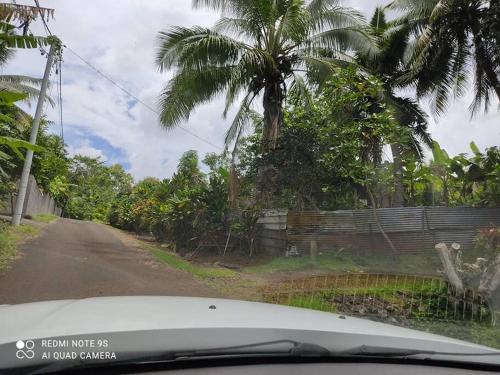 un coche conduciendo por una carretera con palmeras en Teahupo'o house 5 min from wave, en Teahupoo