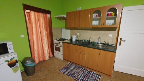 una piccola cucina con lavandino e piano cottura di Apartmán na Zlaté stezce a Kašperské Hory