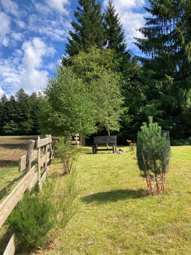 Zahrada ubytování Chalet authentique au calme, en lisière de forêt, montagne, sentiers 15mn Gérardmer & Alsace "Chalet Mon beau sapin"