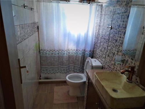 W łazience znajduje się toaleta, prysznic i umywalka. w obiekcie Pothitis villa w mieście Lefkos