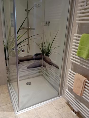 um chuveiro com uma porta de vidro na casa de banho em Haus Hinzberg em Oberhof