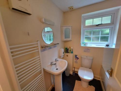 a small bathroom with a toilet and a sink at Sue's Cottage. in Symonds Yat