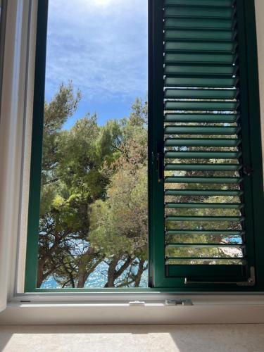 a window with a view of a tree at Sun Fun APT in Omiš