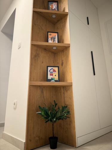 a book shelf in a hallway with a potted plant at Sun Fun APT in Omiš