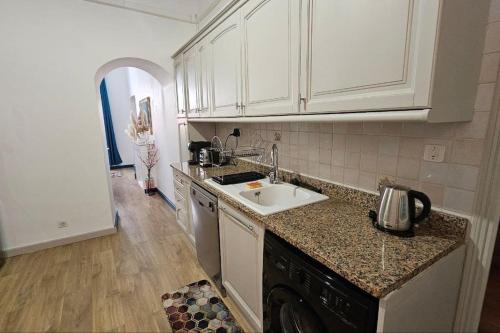 une cuisine avec un évier et un plan de travail dans l'établissement Appartement rénové centre historique de Bastia à deux pas du Vieux Port, à Bastia