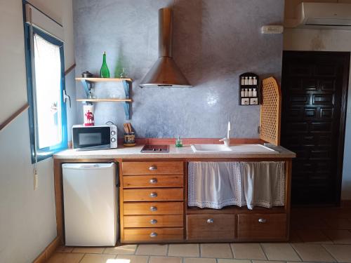 a kitchen with a sink and a refrigerator at Apartamentos Turisticos La vida de antes in Consuegra