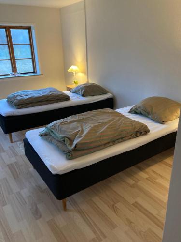BnB Schweizerhuset في رينغستيد: سريرين توأم في غرفة مع
