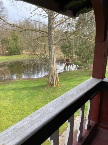 a view from the porch of a house with a tree at Skovhuset haveværelset in Ringsted