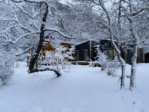 a house in a snow covered yard with trees at Amplia Casa Malalcahuello 8pers 3piezas full Wifi Starlink in Malalcahuello
