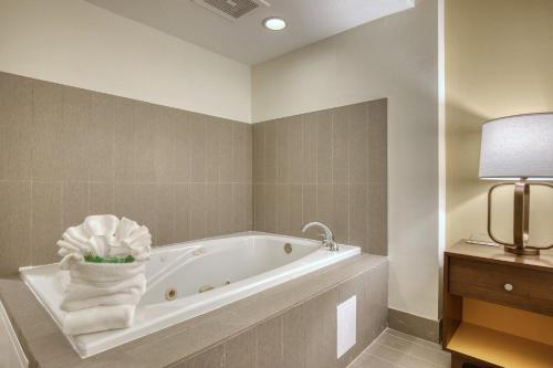 bagno con vasca, asciugamani e lampada di Holiday Inn Hotel & Suites Madison West - Middleton by IHG a Middleton