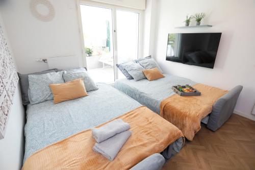 Duas camas numa sala de estar com televisão em Le Cèdre, appartement neuf et décoration soignée em Fontenay-sous-Bois