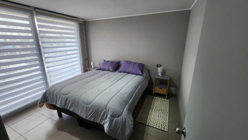 een slaapkamer met een bed met paarse kussens en een raam bij Una Maravilla de Departamento in Rancagua
